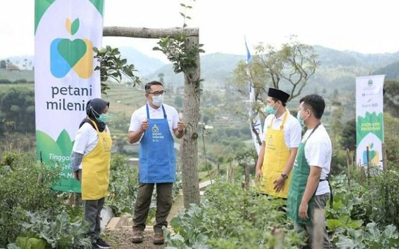 Petani Milenial itu Nyata atau Hanya Sekadar Gimmick? Yuk Simak!
