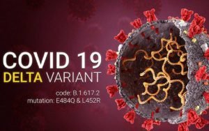 Makin Waspada! Virus Corona Varian Delta Plus Sudah Masuk Indonesia