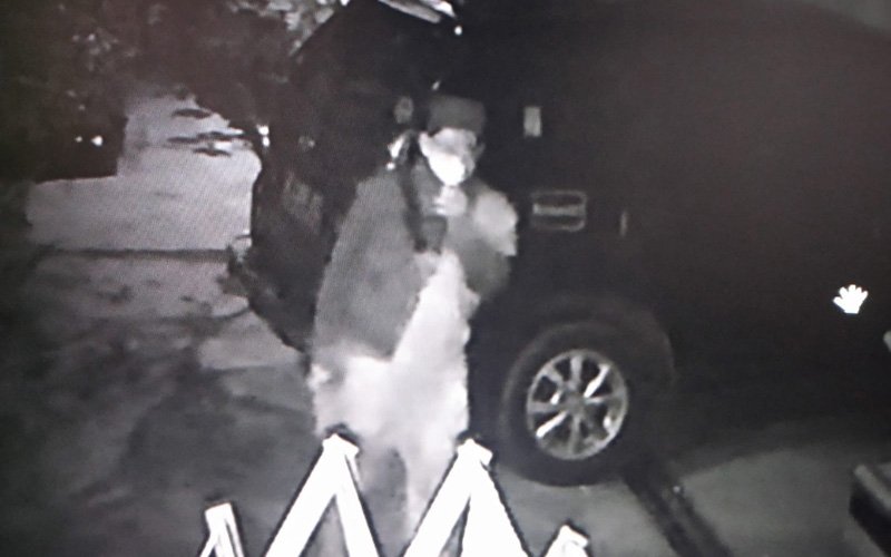 Pria Pencuri Tanaman Hias Alglonema di Purwakarta Terekam Kamera CCTV