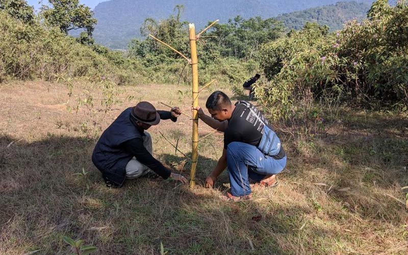 Komunitas Pecinta Alam Sambut Baik Pelestarian Pohon Bambu di Purwakarta