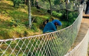 Wisata di Ujung Aspal Purwakarta, Dinaungi Hutan Pinus yang Sejuk dan Indah