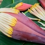 jantung pisang