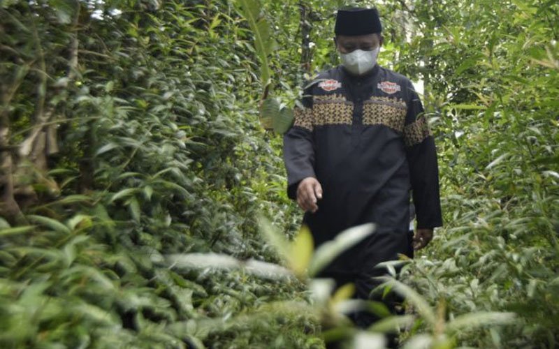 Wagub Jabar: Pembangunan Jembatan Betman Sudah Digagas Sejak Tahun 2015