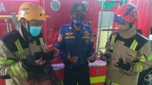 Warga Wanayasa Diresahkan Oleh Monyet Liar yang Menyerang Penduduk Setempat
