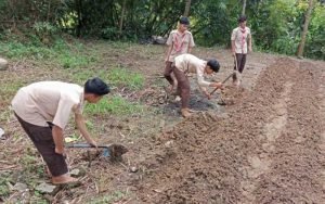Lahirkan Petani Milenial, Pelajar di Purwakarta Terjun Langsung Bercocok Tanam