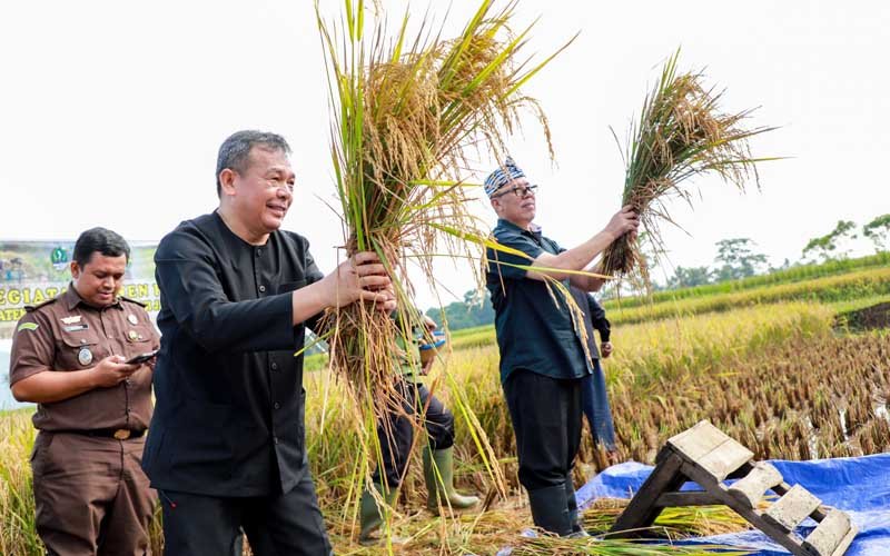 Purwakarta Targetkan Produksi Ratusan Ribu Ton Beras di Tahun 2024