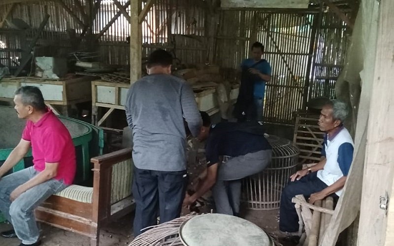 Polisi Gerebek Lokasi Judi Sabung Ayam di Purwakarta, 11 Orang Diamankan