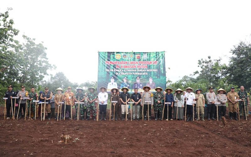 Pemkab Purwakarta Manfaatkan Lahan Produktif Untuk Tanam Padi Gogo