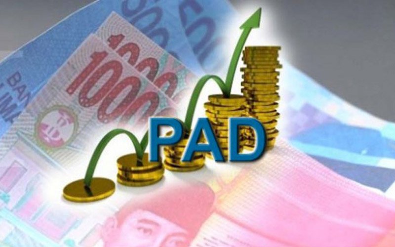 Inilah 10 Sektor Pajak Jadi Penopang Utama PAD Purwakarta 2025