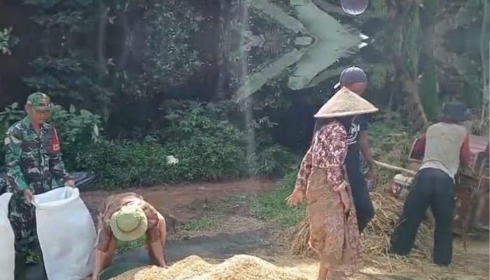 TNI Bersama Petani: Strategi Kodim 0619 Purwakarta Perkuat Ketahanan Pangan Nasional