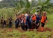 Penggembala domba di Purwakarta meninggal