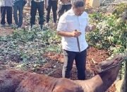 Idul Adha 1446 H, Polres Purwakarta Salurkan 34 Hewan Kurban