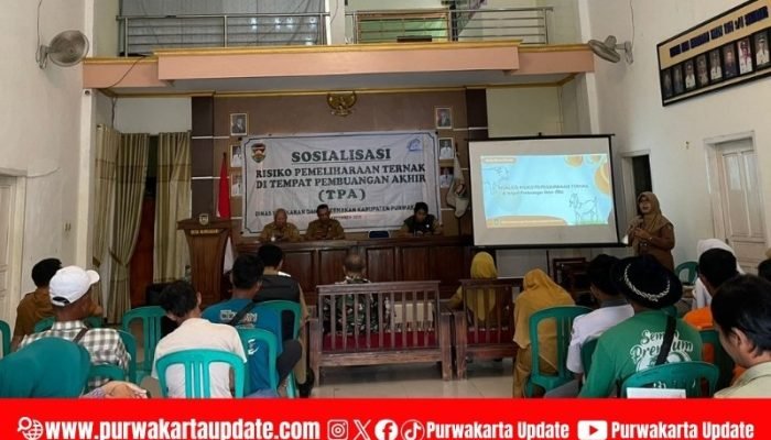 Sosialisasi Analisis Risiko Pemeliharaan Ternak di TPA, Diskanak Purwakarta Ingatkan Bahaya Kesehatan