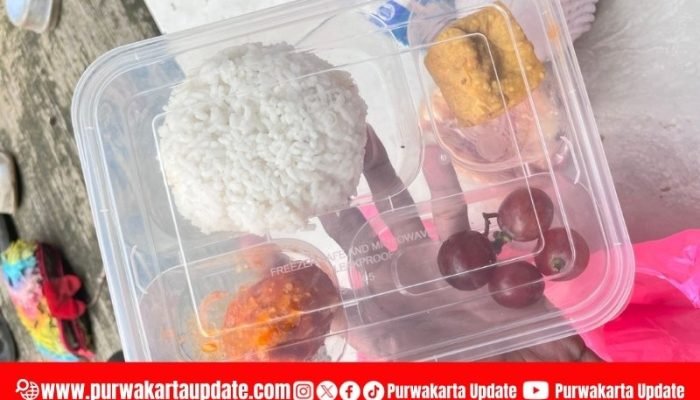 Kader Posyandu Melati VI Klarifikasi soal Wadah MBG, Akui Inisiatif dan Sampaikan Permohonan Maaf