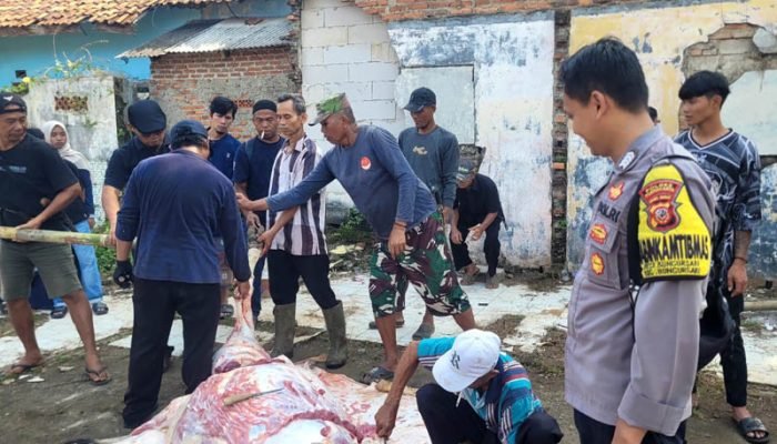 Kurban Bungursari Purwakarta