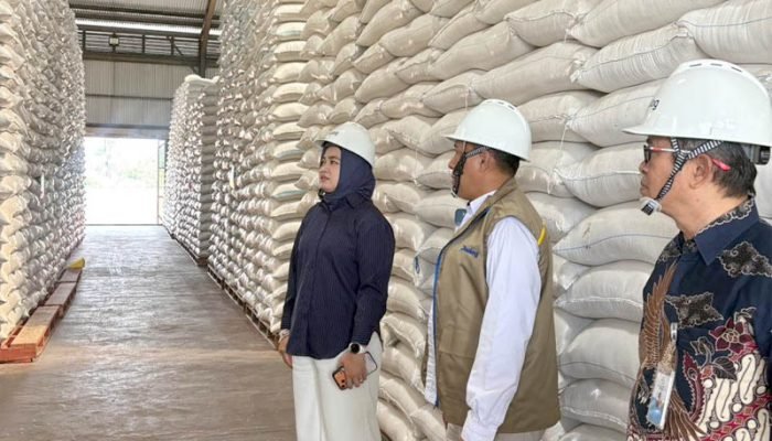 Putih Sari Tinjau Gudang Bulog Purwakarta, Pastikan Stok Beras Aman Putih Sari tinjau gudang Bulog Purwakarta