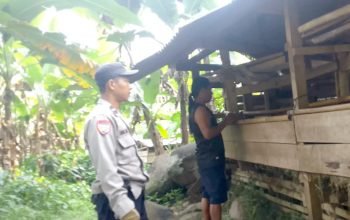 Peternak hewan kurban di Purwakarta.