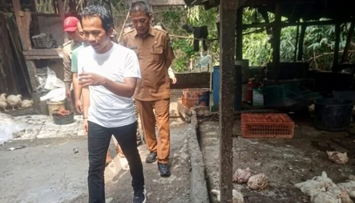 Diduga Tak Kantongi Izin IPAL, Tempat Pemotongan Ayam di Simpang Ditutup Sementara