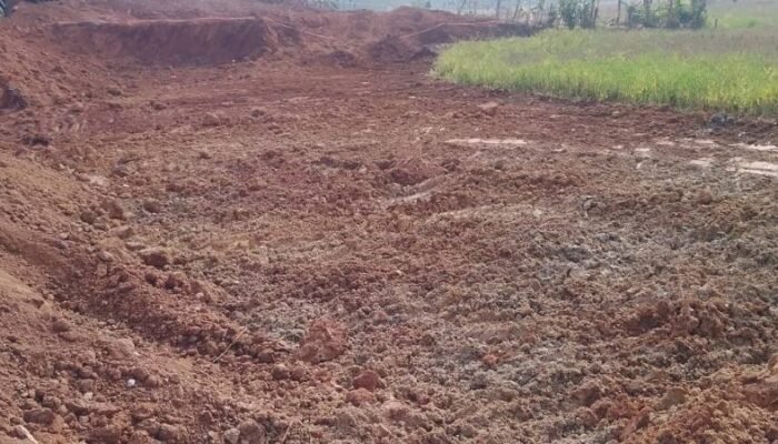 Bukan Penambangan! Aktivitas di Desa Cipinang Ternyata Program Cetak Sawah Baru Dukung Ketahanan Pangan Nasional