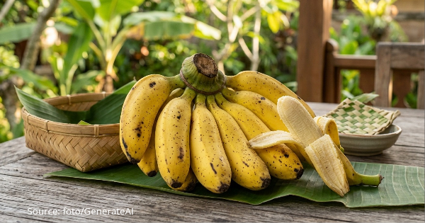 7 Manfaat Pisang Kepok untuk Kesehatan dan Cara Tepat Mengolahnya