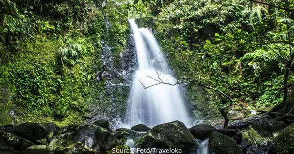 Bikin Fresh! Pesona Curug Cipurut Purwakarta: Daya Tarik, Tiket Masuk, dan Rute