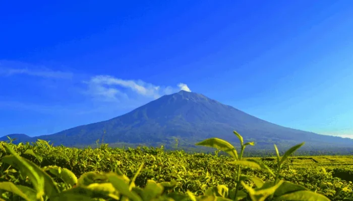 Sempat Ditutup Cegah Karhutla, Jalur Pendakian Kerinci dan Dua Gunung Ini Dibuka Lagi