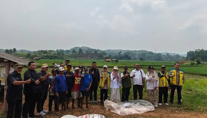 Tim peninjau memeriksa kondisi lahan sawah dan kebutuhan air petani di Kabupaten Purwakarta. (Foto: Istimewa)