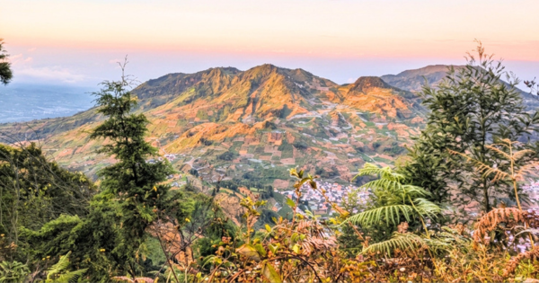 Berapa Lama Naik Gunung Prau Via Wates? Ini Estimasi Waktu & Panduan Rutenya