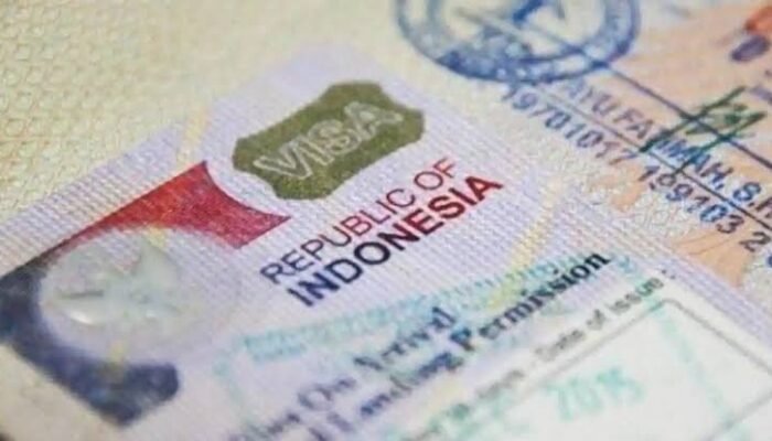Ilustrasi visa pencari kerja Spanyol hingga 12 bulan bagi warga negara asing - Foto: coconuts.co