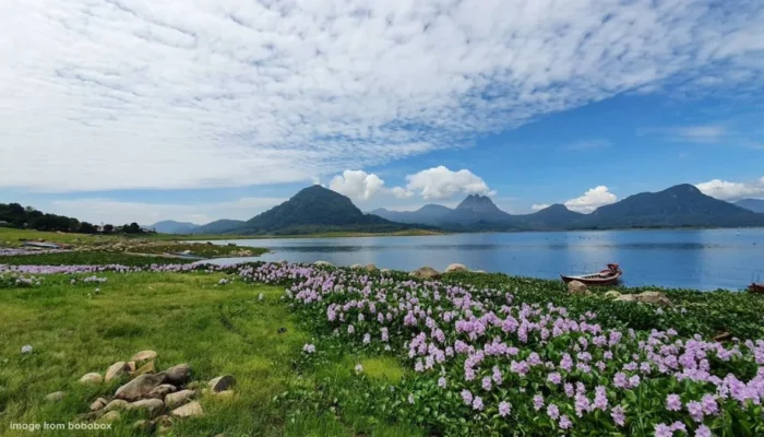 5 Wisata Purwakarta yang Menarik Dikunjungi, dari Waduk Jatiluhur hingga Gunung Parang Pemandangan Waduk Jatiluhur di Kabupaten Purwakarta, Jawa Barat. (Foto: Bobobox)